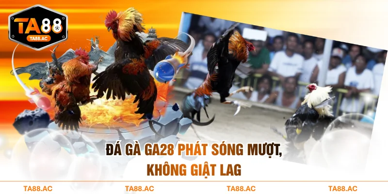 Đá gà GA28 phát sóng mượt, không giật lag