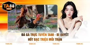 Đá gà trực tuyến