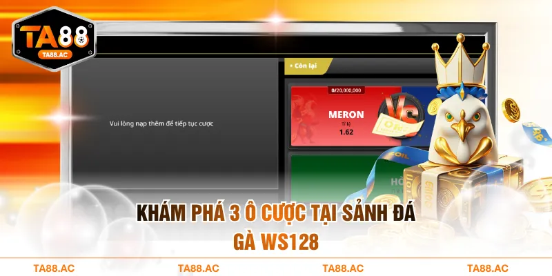 Khám phá 3 ô cược tại sảnh đá gà WS128