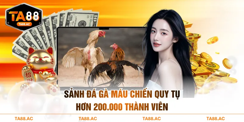 Sảnh đá gà máu chiến quy tụ hơn 200.000 thành viên