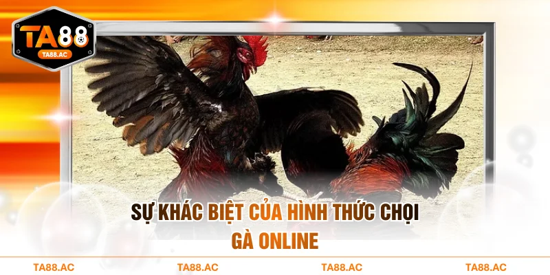 Sự khác biệt của hình thức chọi gà online